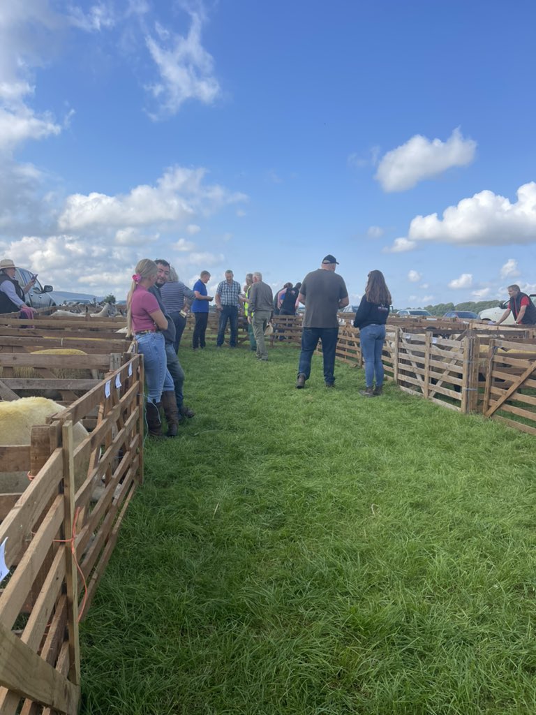 Kildale Show tweet media