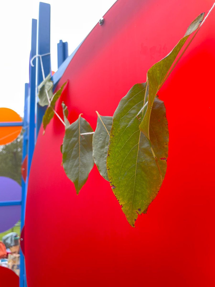 Julia Snowdin tweet media