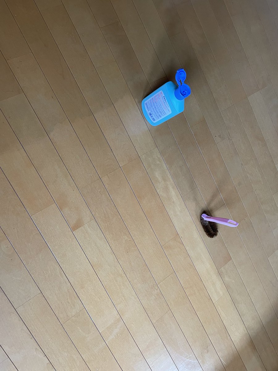ShiggyDFFOO's tweet photo. 家の床ワックス剥がし。腰痛い😢
これはいかん、明日電動ドライバーに付けるブラシ買いに行こう。。。 https://t.co/0wfo0KTOz9