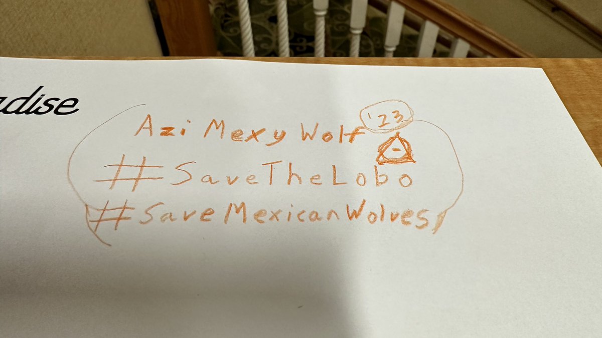 TheMexyWolf's tweet image. No matter what. No matter where. I live for the Lobo. #SaveTheLobo #SaveMexicanWolves #MFM2023 #Art #Therian