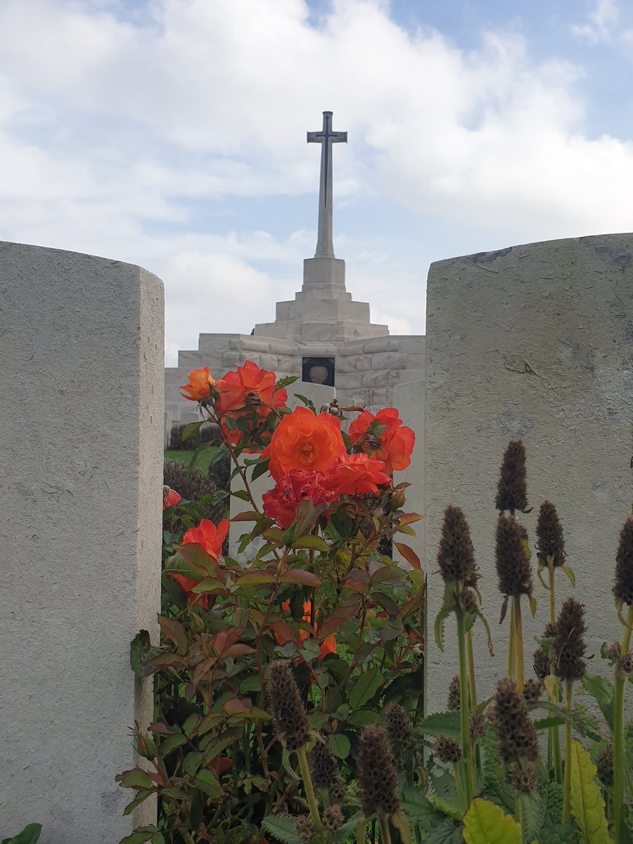 372 (Barry) Squadron tweet media