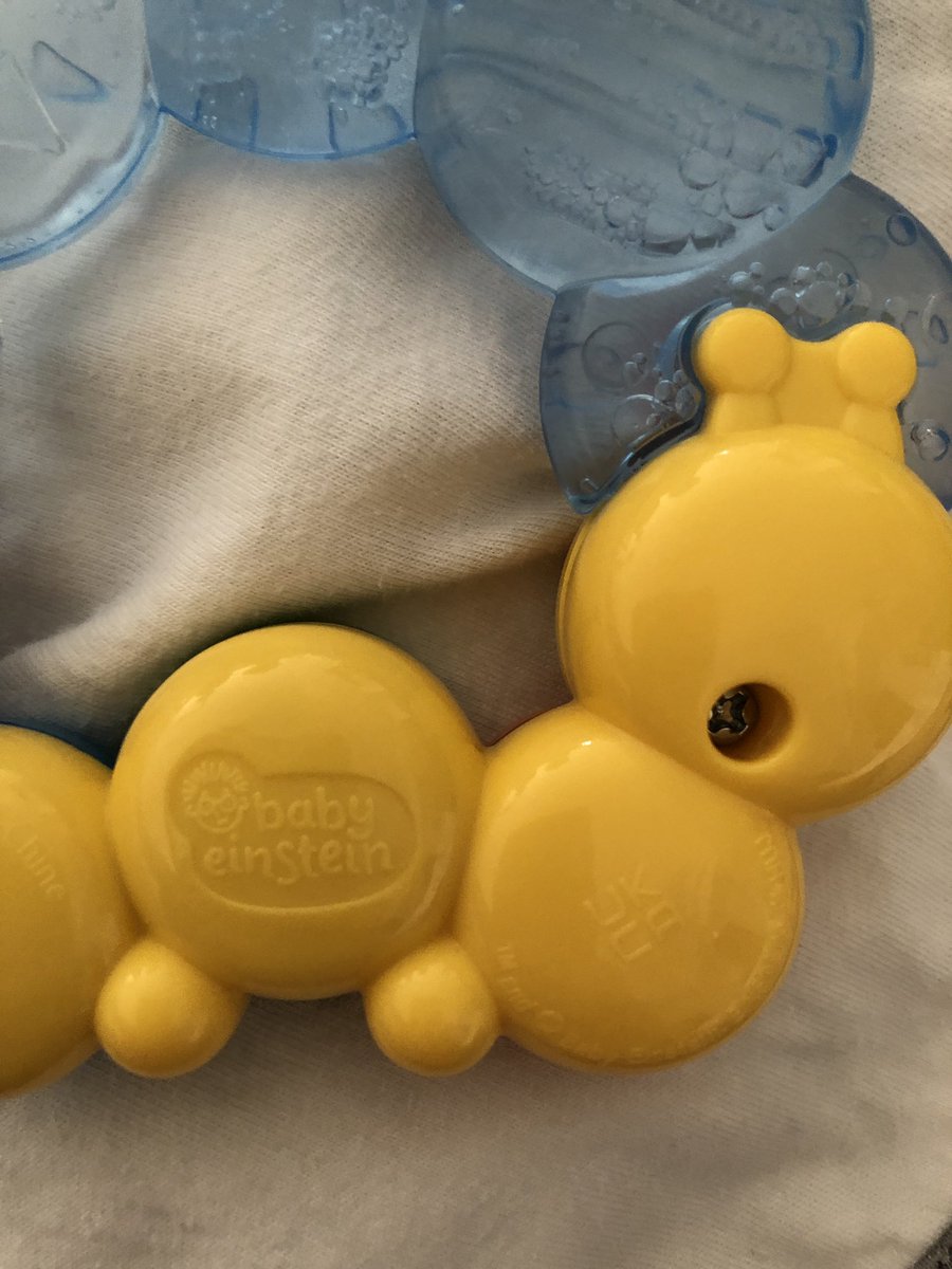 Luisa Balaguer tweet media