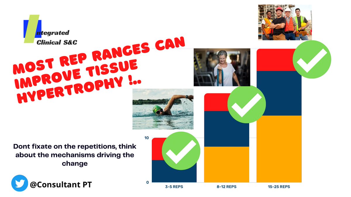 Tissue hypertrophy 💪is a important building block for most MSK ⛑️rehab programmes, but often we think there is only one rep range…⛔️that’s wrong ! Understand the mechanisms and application and U become an 🧐expert ! mdpi.com/2075-4663/9/2/…