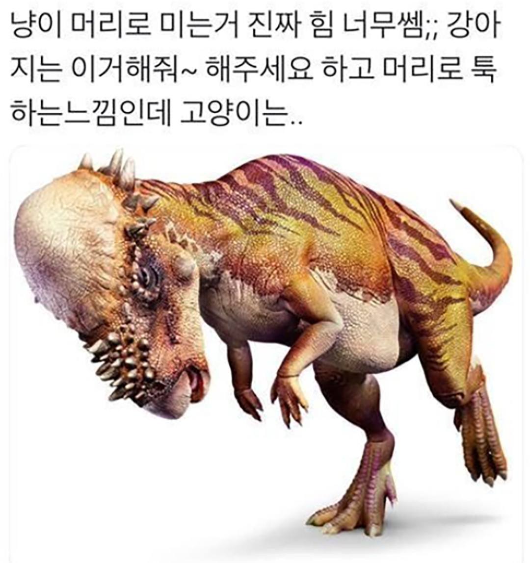 gaeuggyeo's tweet photo. https://t.co/fhhYBGRQHD