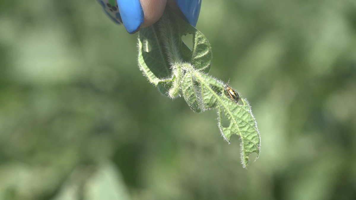 Stu Ellis tweet media