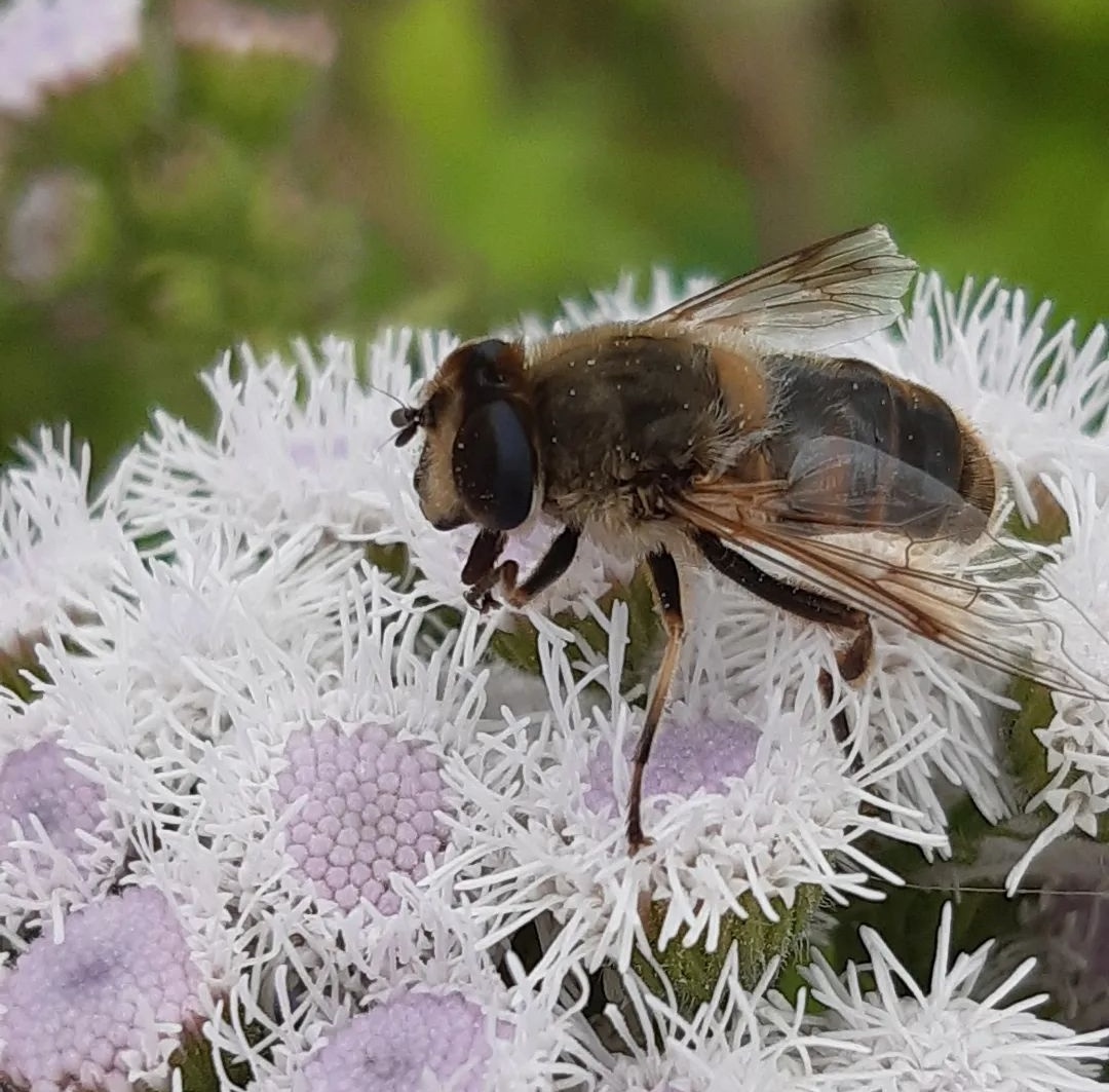 Marco Mout tweet media