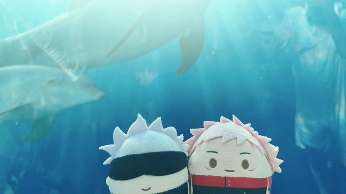 「鮫 ショートヘア」のTwitter画像/イラスト(新着)