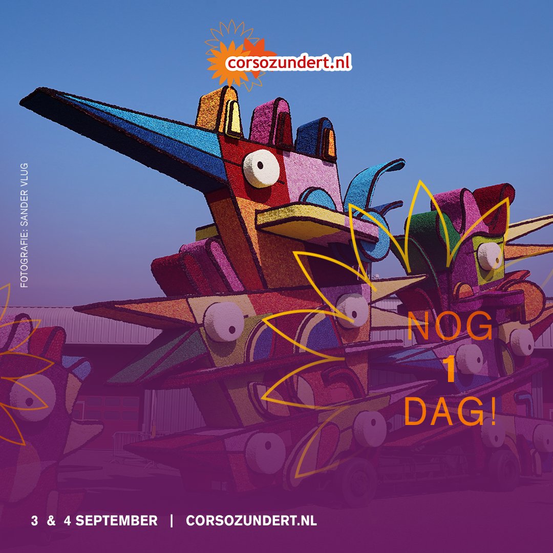 Corso Zundert tweet media