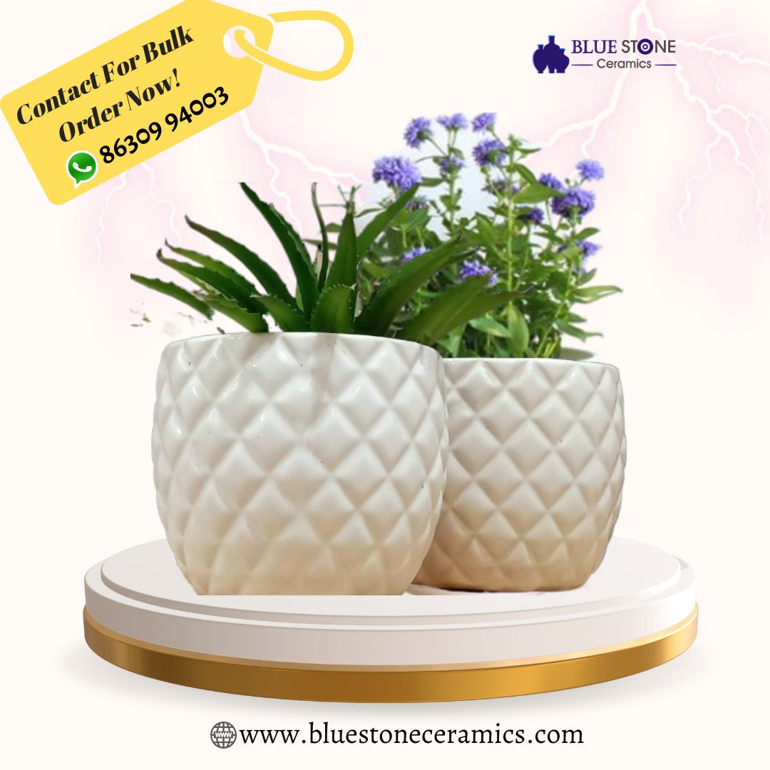 Embrace the Great Outdoors with Our Stunning Outdoor Pots Collection! 🌿🏡 Elevate your garden game and add a touch of elegance to your outdoor space.
-
𝐂𝐨𝐧𝒕𝒂𝒄𝒕 𝐍𝐨𝐰 𝑭𝒐𝒓 𝑩𝒖𝒍𝒌 𝑶𝒓𝒅𝒆𝒓:-📞 86309 94003
Visit our Website for more Products - bluestoneceramics.com