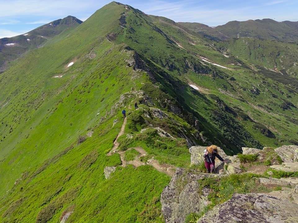 Travel_2Romania's tweet photo. Drumeție în munții Rodnei, printre crestele zimțate, pline de verde, roz și aer tare de munte.
📷 Active Weekends 
#WeAreUIMLA #WeGuideYou #SocietateaGhizilor 
#DiscoverRomania https://t.co/rQAYGCyN5q
