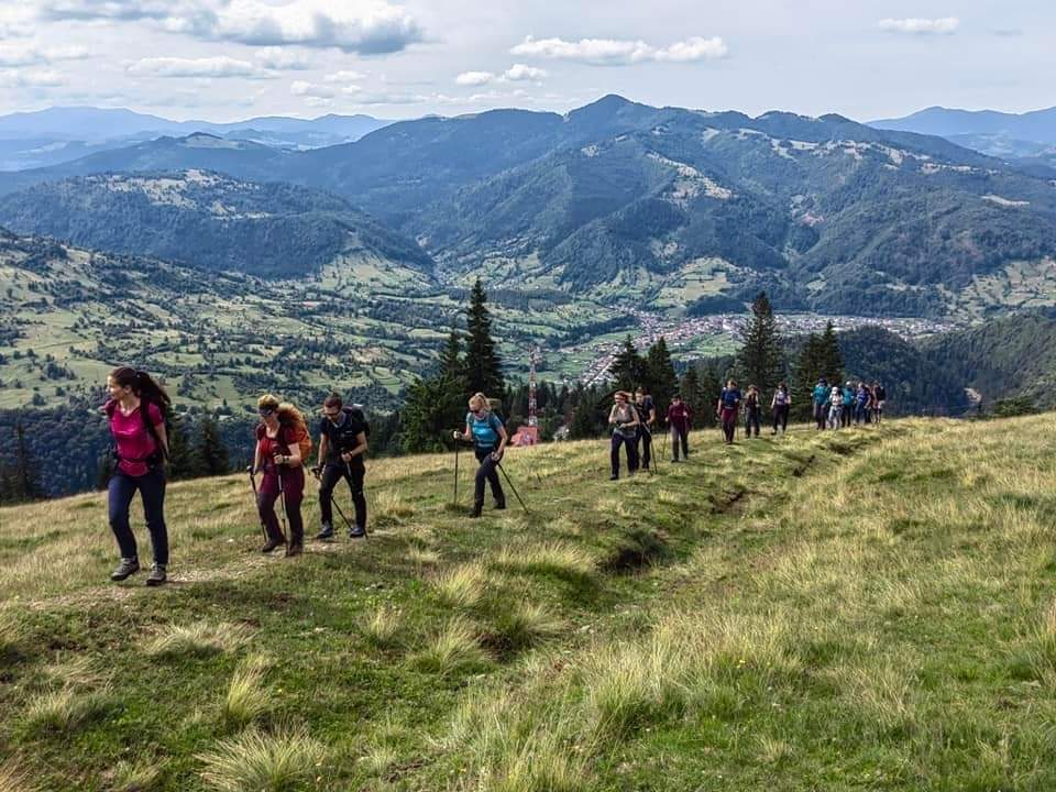 Travel_2Romania's tweet photo. Drumeție în munții Rodnei, printre crestele zimțate, pline de verde, roz și aer tare de munte.
📷 Active Weekends 
#WeAreUIMLA #WeGuideYou #SocietateaGhizilor 
#DiscoverRomania https://t.co/rQAYGCyN5q