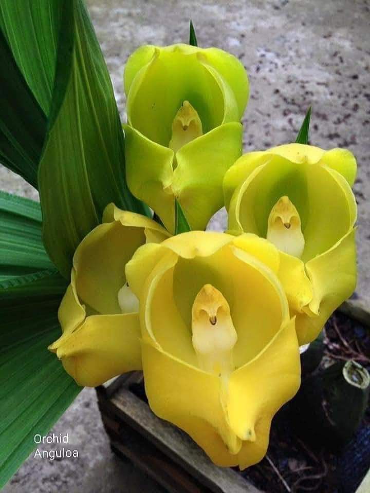 Hannah (@hannah53693191) on Twitter photo 