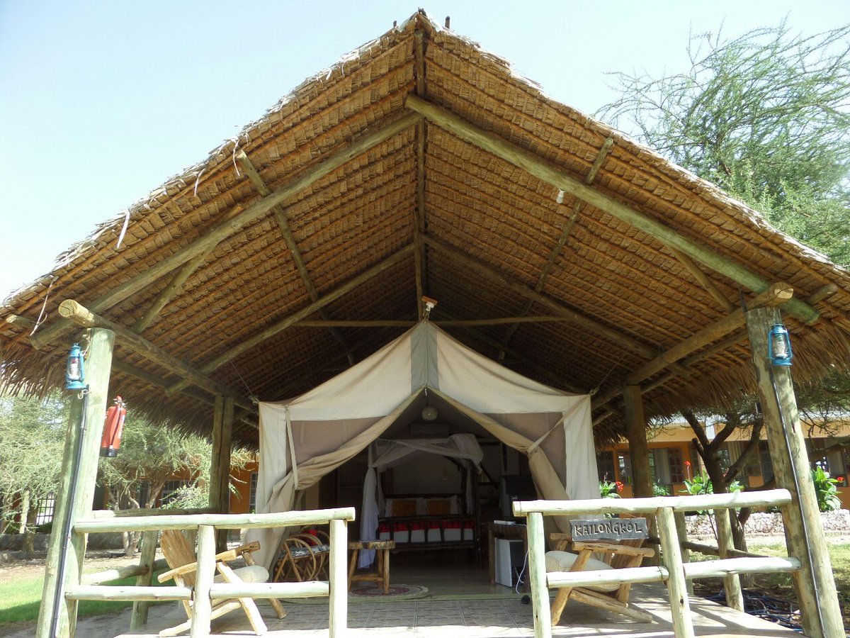 saftrek_safaris's tweet photo. 🌟 DISCOVER THE WILDERNESS IN LUXURY 🌟
Escape to nature's embrace at The Cradle Tented Camp! 🏕️
Book Now!
📞 0792 679 463
📩 safaris@saftrek-adventures.com
🪩 https://t.co/ZVHFuSJplQ
#cradletentedcamp #adventureawaits #Turkana #ChalbiDesert #JazaGari #2023deals #ZuruKenya https://t.co/deGNHa0zRU