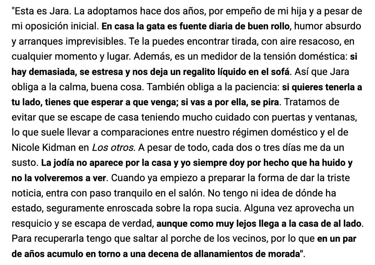 angel_munarriz's tweet photo. Hablo en @_infoLibre de un tema de indudable interés público: mi gata. https://t.co/Kt4egHdTn7 https://t.co/2Me9I1KElw