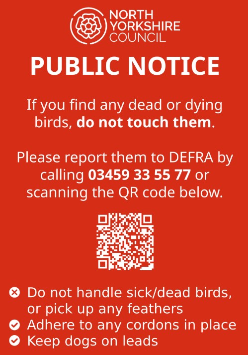 northyorksc's tweet photo. ⚠️If you're heading to the coast this weekend remember not to touch sick or dead seabirds and to keep your dog on a lead.

Please report them to @DefraGovUK at https://t.co/h5OwdkxI1U 

❌ Do not handle any sick/dead birds
✅ Adhere to any cordons 
✅ Keep dogs on leads https://t.co/hXQswKRhLZ