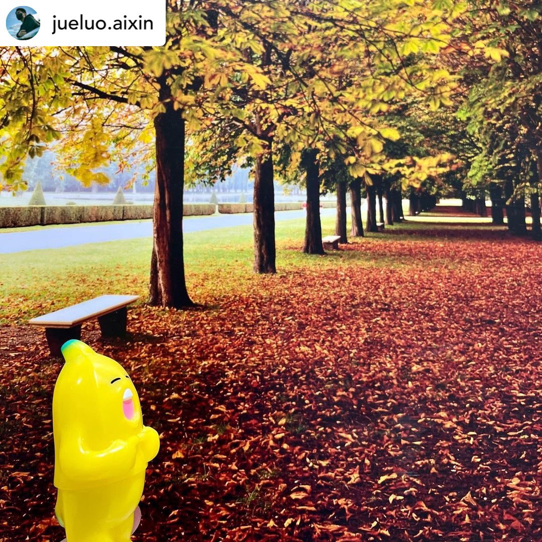 harikenjp's tweet photo. Arigato your photo👉👈✨

#BANANATAIL
#バナナテイル
#ソフビ
#SOFVI
#sofubi

@jueluo.aixin @harikenip
#HARIKEN
#smiletovs
#bananatail
#sofubitoy
#設計師玩具
#軟膠玩具
#大人的玩具 https://t.co/iwnTEDSK8d