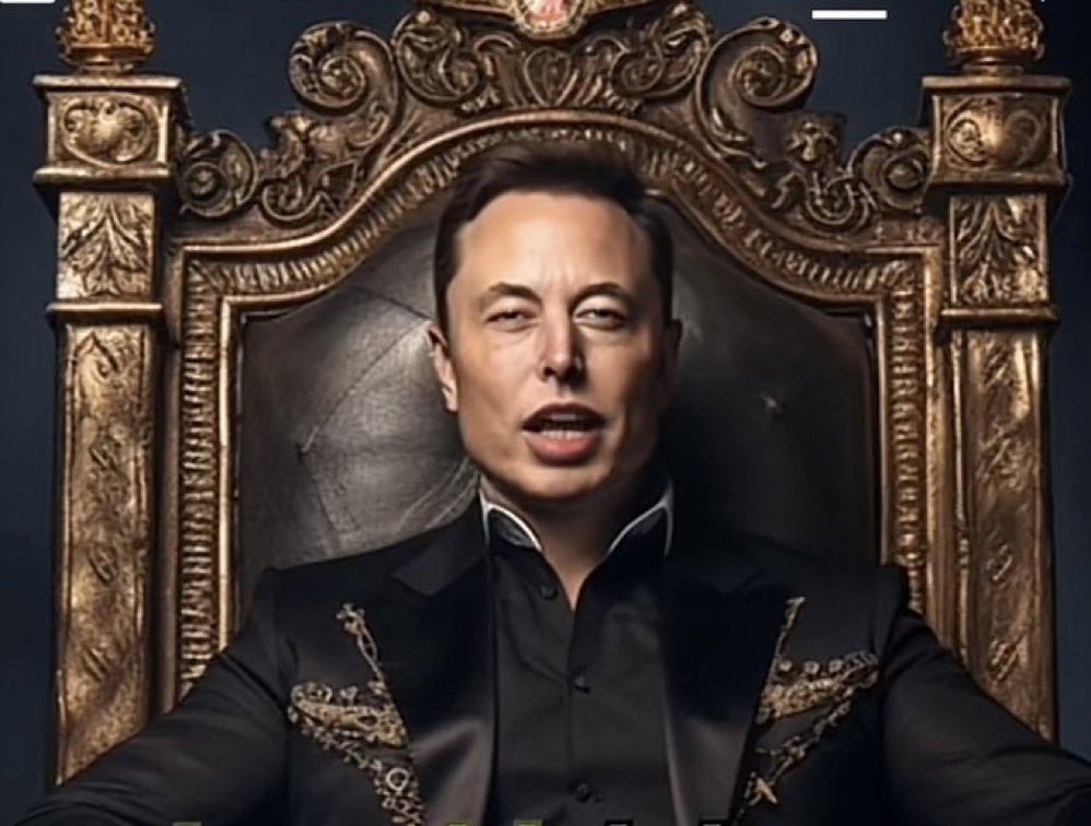 Not Elon Musk tweet media