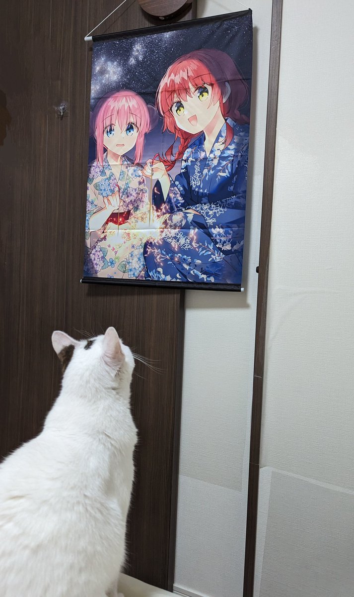 ぼ喜多「猫ちゃんもぼ喜多が好きなのか…? 」|みかん氏🎸のイラスト