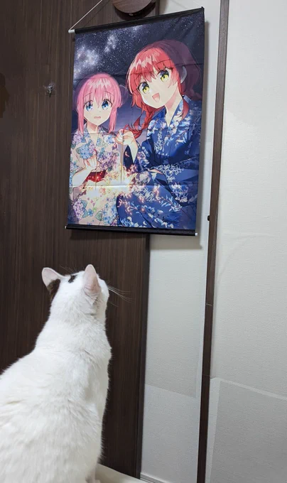 猫ちゃんもぼ喜多が好きなのか…? 