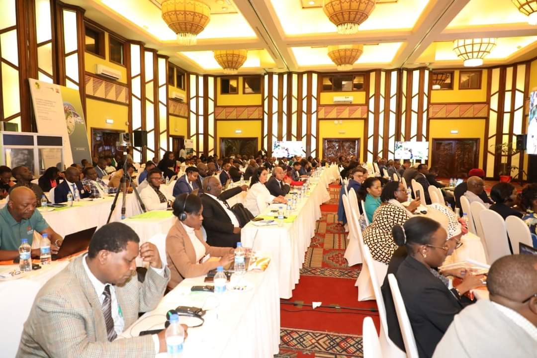 Violajeptoo8's tweet photo. We need to re- engineer our approach in climate change issue for desired destination.
#CCDA23 
@PACJA1 @_AfricanUnion @UNEP @UNFCCC @mithika_mwenda @sylviawachira @aacjinaction https://t.co/Gju8xhOs7T
