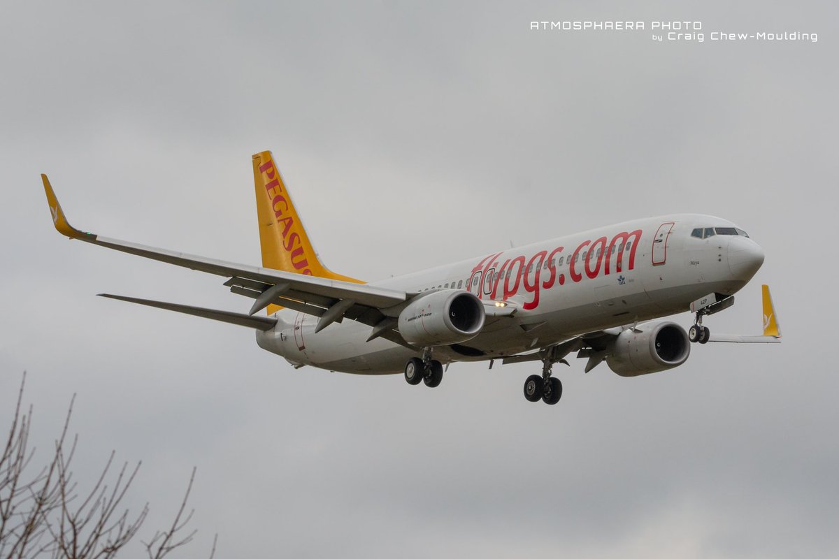 A @BoeingAirplanes 737-800 TC-AZP ‘Maya’ of @flymepegasus arriving at @manairport Runway 05L @PlaneSpotIsCool @AeroResource #Thinkplanes @endaburke81 @_airlinerworld #avgeek #aviation