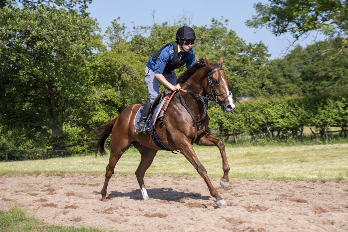 ianwilliamsraci's tweet photo. Three today

Silent Film under @FrankieDettori goes at Kincsem Park

Night On Earth for @spencer_coomes goes @ChesterRaces under @DavidEgan99

Dream Harder for @PaulCurly1968 goes in the @WillHillRacing Silver Cup @Beverley_Races under @_benacurtis

👉 https://t.co/e4dFEQurou https://t.co/5EvaTQOqdR