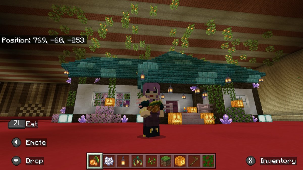 I made a house insides my little sis's house. #Minecraft #NintendoSwitch