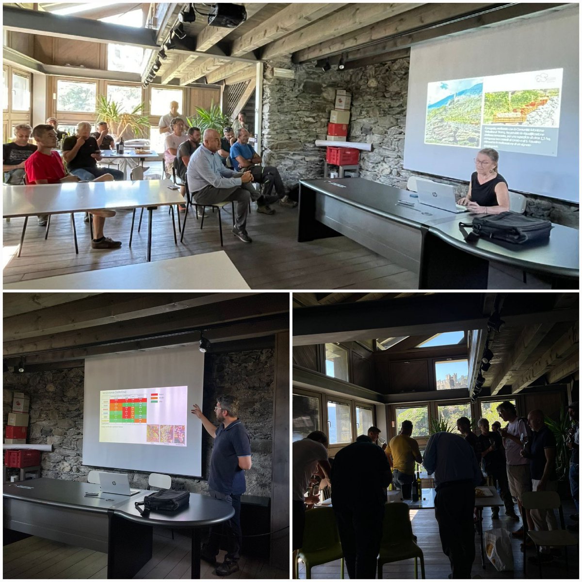 Ieri nel vigneto sperimentale impiantato per il recupero dei terrazzamenti a Grosio, il secondo incontro previsto dal progetto VITAVAL. Introduzione teorica sulle varietà PIWI e degustazione di microvinificazioni di uve da vitigni resistenti e vini di aziende partner del progetto