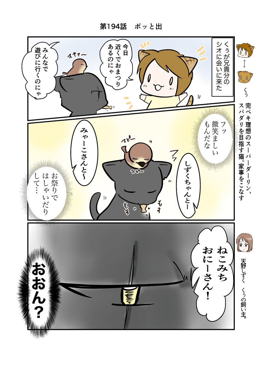 #スパダリにゃんこ
#くぅの日常 第194話
ポッと出

ハイスペックなスーパーダーリン、スパダリ猫を目指すくぅと、飼い主しずくの日常マンガ。

くぅの兄貴分、シオの話。
みんなと行くお祭りが楽しみな様子のくぅ。話を聞いたシオの反応は…?

#猫マンガ 