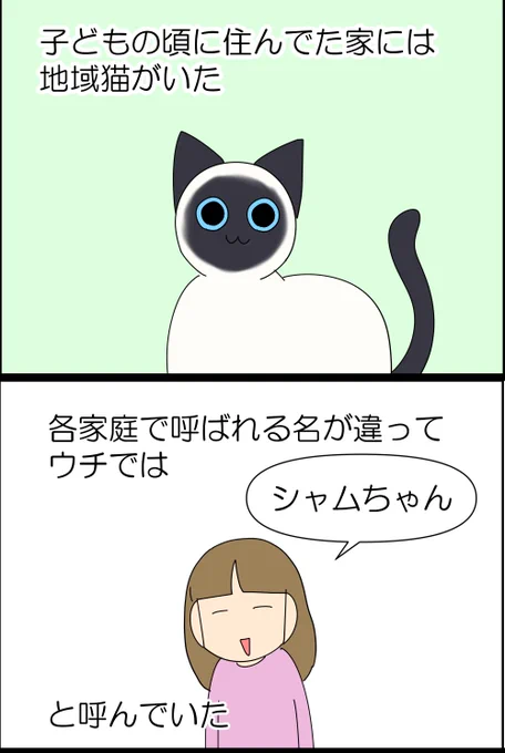 アレルギーへの認知度の話 1/3

ウチなら大丈夫よ→なんで?
気合でなんとかなる→なるかアホ!

#漫画が読めるハッシュタグ #漫画がよめるハッシュタグ #漫画 #コミックエッセイ #日常 #アレルギー #猫好きさんと繋がりたい 