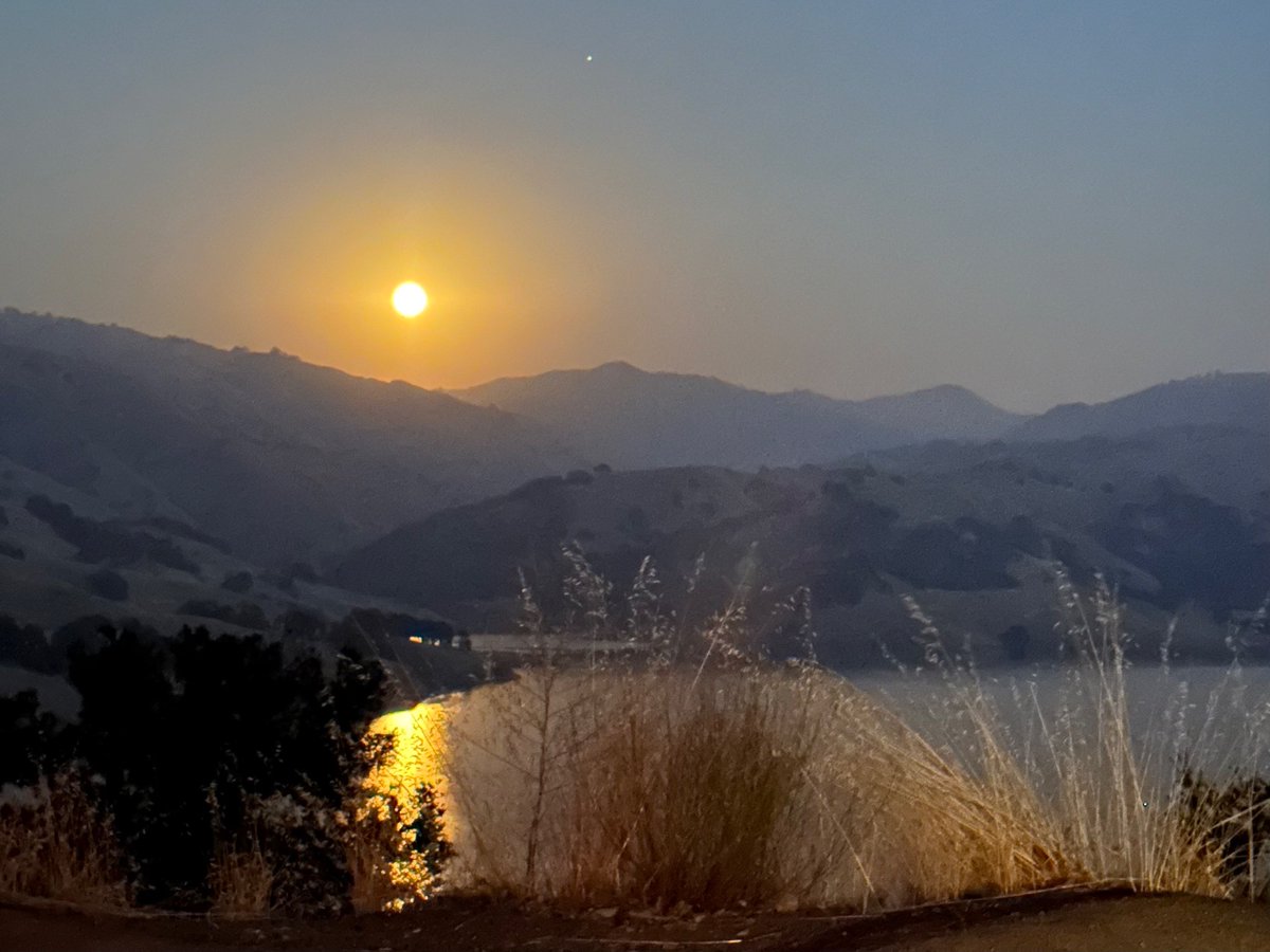 Eric Uldrick tweet media