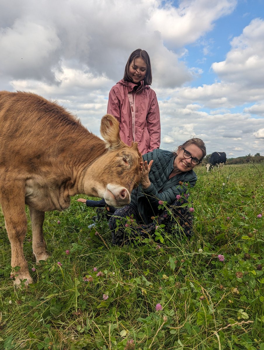 ahimsamilk's tweet photo. The joy of one's own company. Our calves always like contact with new people. They like to smell everyone, be scratched and cuddled. https://t.co/stUlGmqVUT