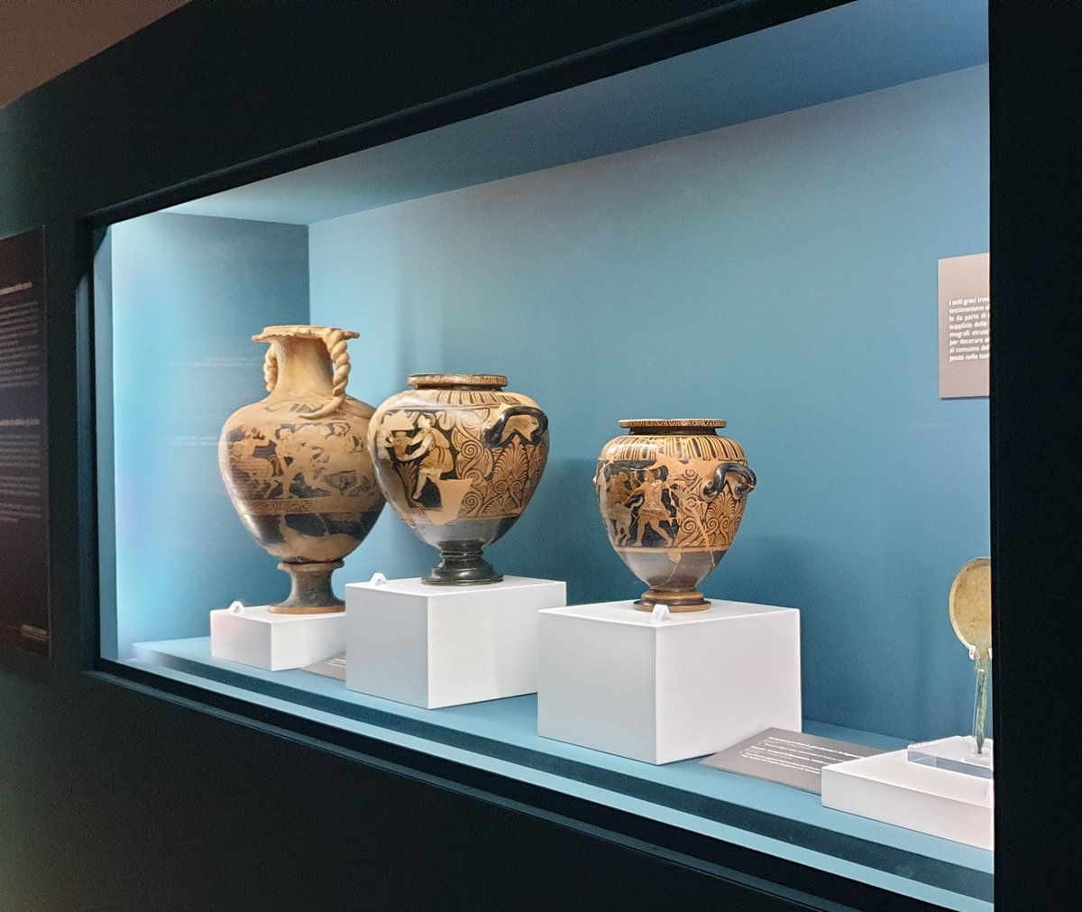 Museo ArcheologicoRC tweet media