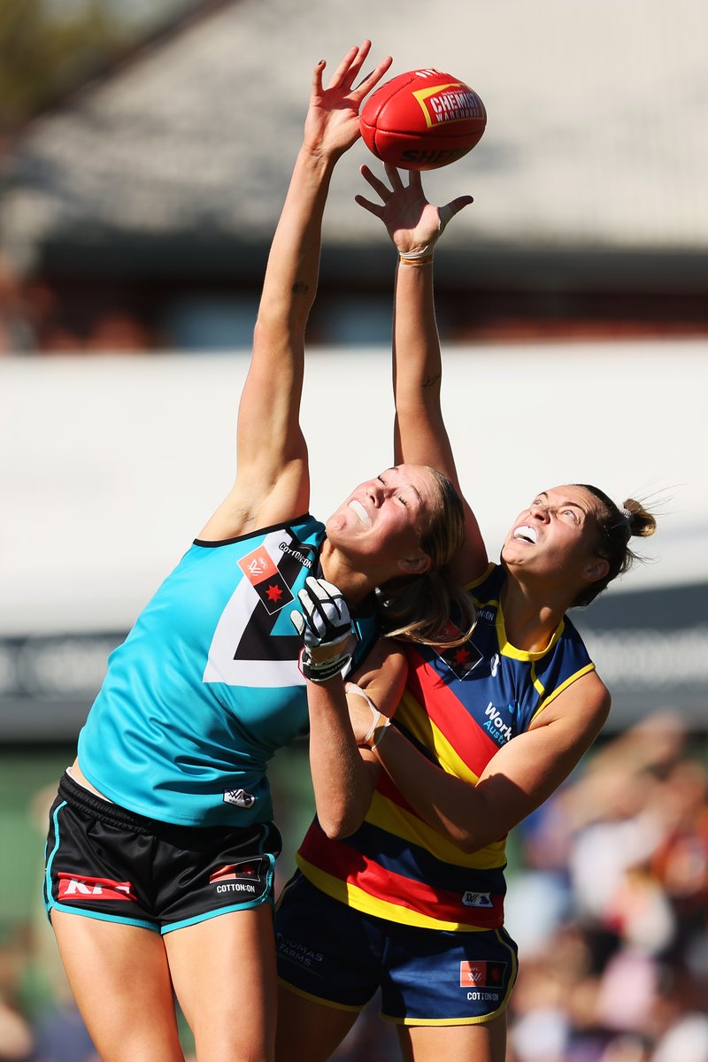 pafc_w's tweet photo. An impressive debut game for Tilds ⭐

🖐️ 14 hit outs (most on the ground)
🏉 Four clearances
💥 Four tackles https://t.co/iZTN55Eala