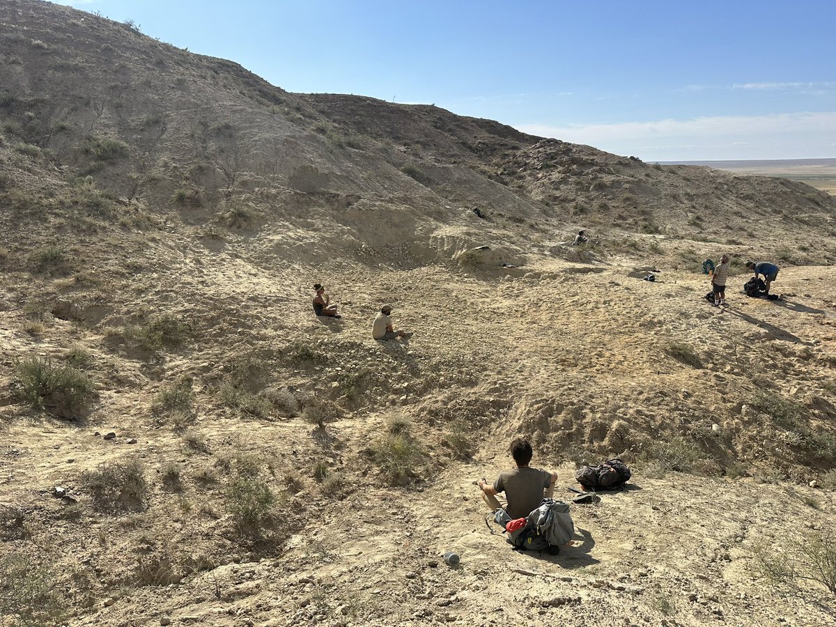 Dino_Chinzorig's tweet photo. #MADEX23 #NatGeo #ZZTE23 #IPMAS #dinodig23
DAY-11: The Early Cretaceous giant ankylosaur “HAHA” quarry in southeastern Gobi in Mongolia is done for this year. ~5m tall, ~7m wide, and ~8m depth quarry is buried back in 1,5h. 👏⛺️🍻@ExpeditionLive @freewillie643 @palaeontolojosh https://t.co/lkTZat2q51