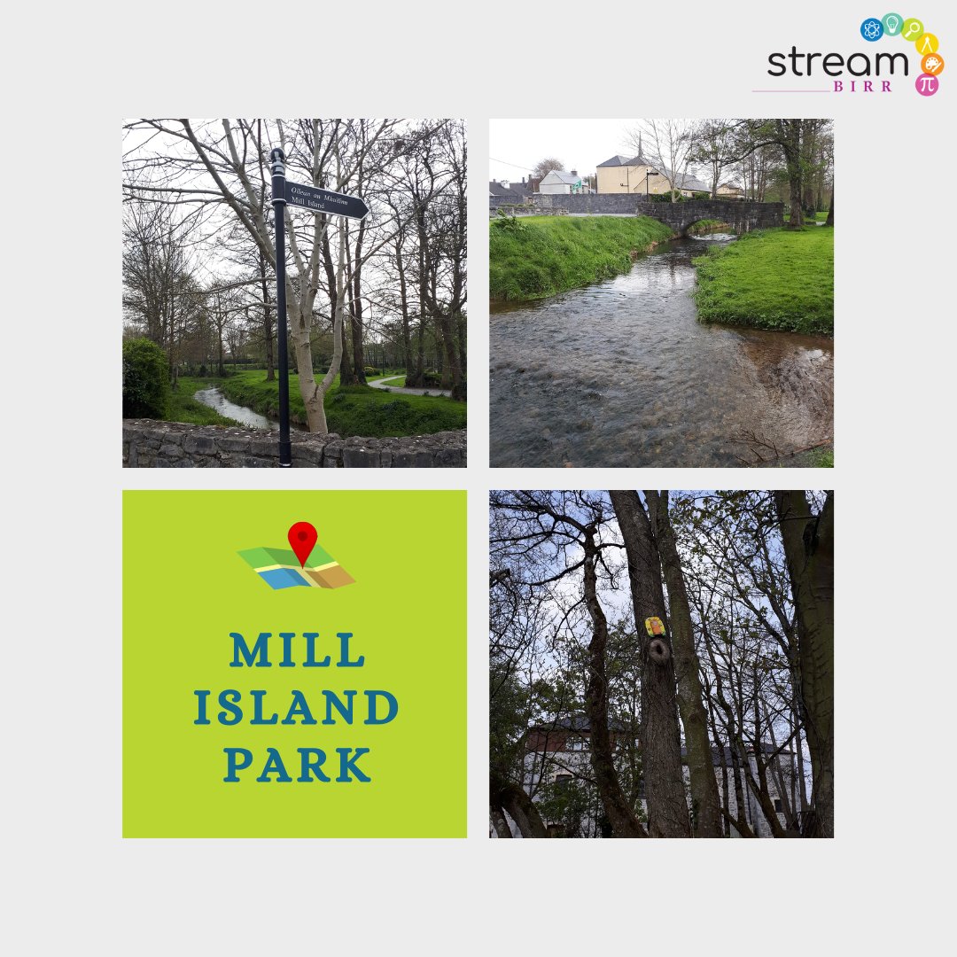 stream BIRR tweet media