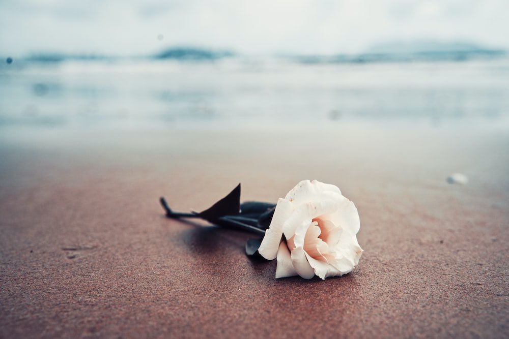 gorden_isler's tweet photo. Vor 8 Jahren ertranken Alan, Ghalib und Rehana Kurdi. #AlanKurdi|s Bild berührte die gesamte Welt. Meine Gedanken und mein Mitgefühl sind heute bei Tima und Abdullah Kurdi 🤍 Seit diesem Tag fielen dem EU-Grenzregime mehr als 20.000 weitere, schutzsuchende Menschen zum Opfer. https://t.co/xg5N4AUSRZ