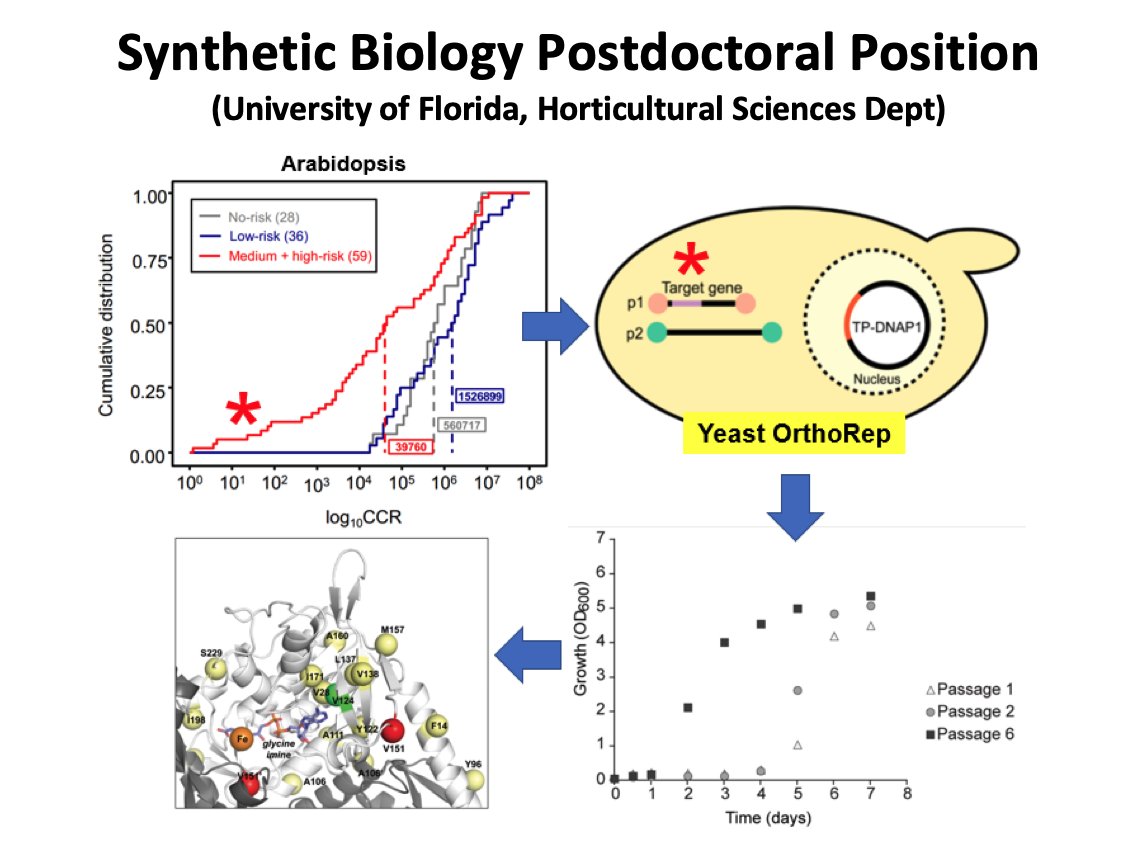 Víctor de Lorenzo tweet media