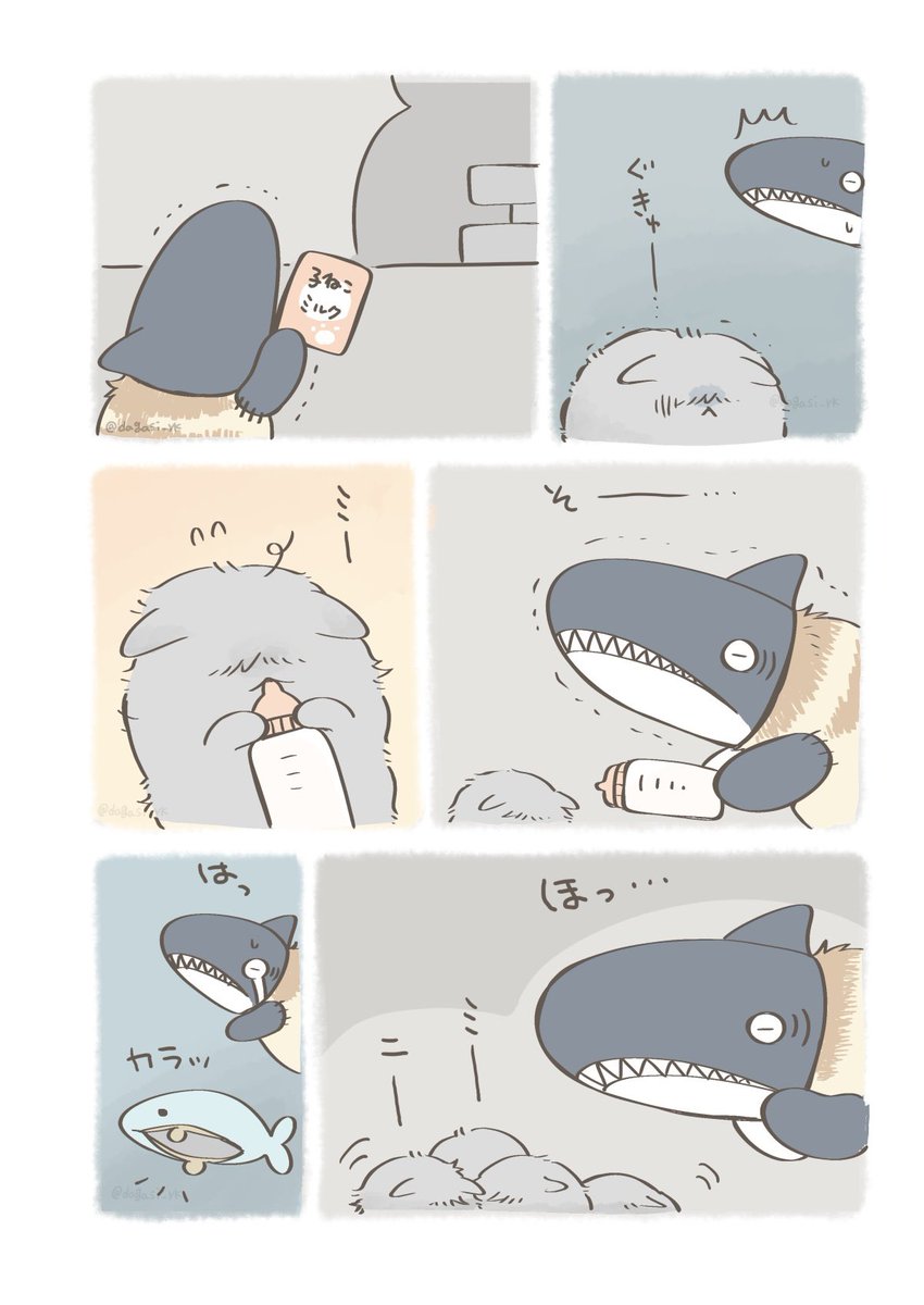 子猫を拾ったさめねこの物語(2/2) 