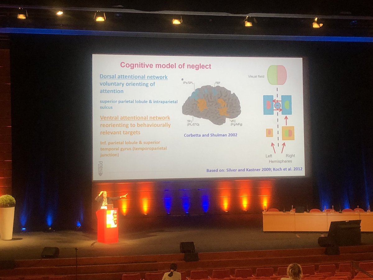 #EFNR 🧠Plenary lecture of Stephanie Clarke on precision rehabilitation and #neglect. Patients with neglect fail to detect and report events and to perform actions in the side of space contralateral to a hemispheric cerebral lesion.Therapies available but more studies needed🧠