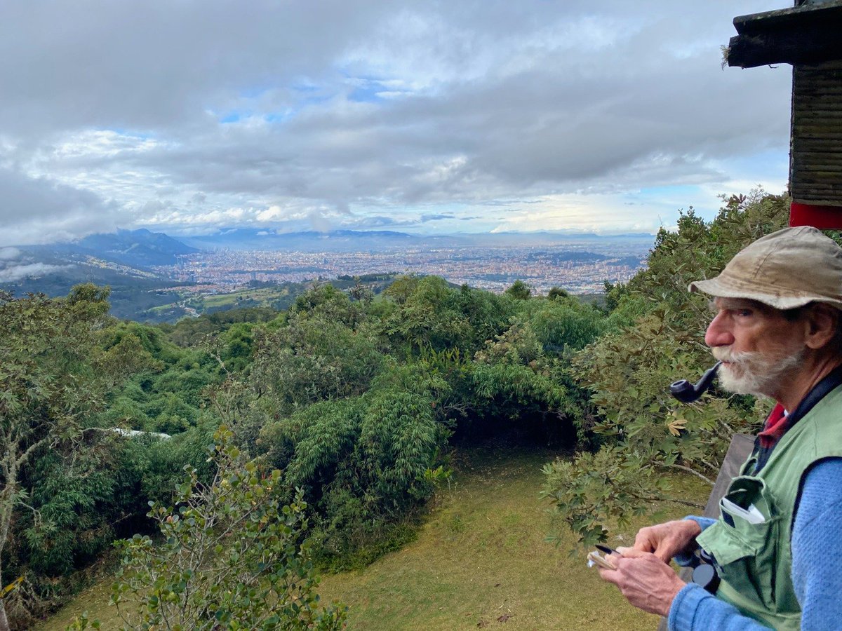 ICNUNAL's tweet photo. #ICN El Consejo Superior de la Universidad Nacional de Colombia en su facultades otorgará a nuestro apreciado Gary Stiles, la distinción Profesor Emérito. Un reconocimiento a su entrega por decadas a la formación de nuevas generaciones y a la investigación en biodiversidad. 👏🐦 https://t.co/g2GN89JdTu