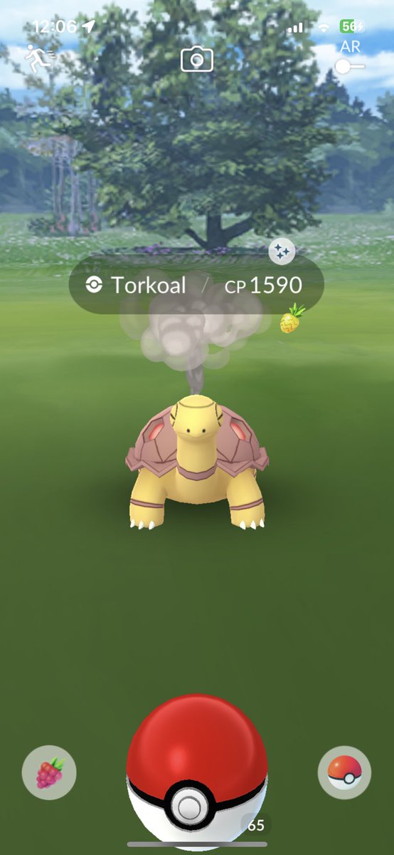 I didn’t know this shiny existed but cool 😭