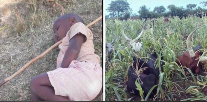 Only Legend understand what Next ? 😂