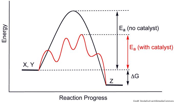 A diagram showing the activation energy of a reaction with and without a catalyst. It is lower with a catalyst.
