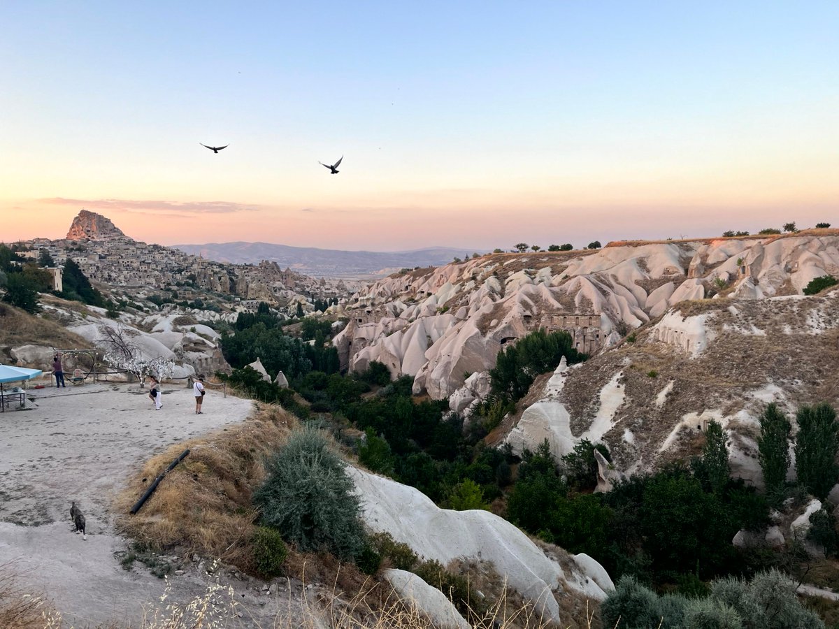 delaneysw's tweet image. Thank you @esera2023! A amazing conf with fantastic hosts. Inspiring to see so much #systemsthinking in #scied and #chemed, focussed on engaging students to address global challenges, not least by superb Turkish #SER community (@GDCeyhan, @MustafaSOZBILIR, many more) #esera2023