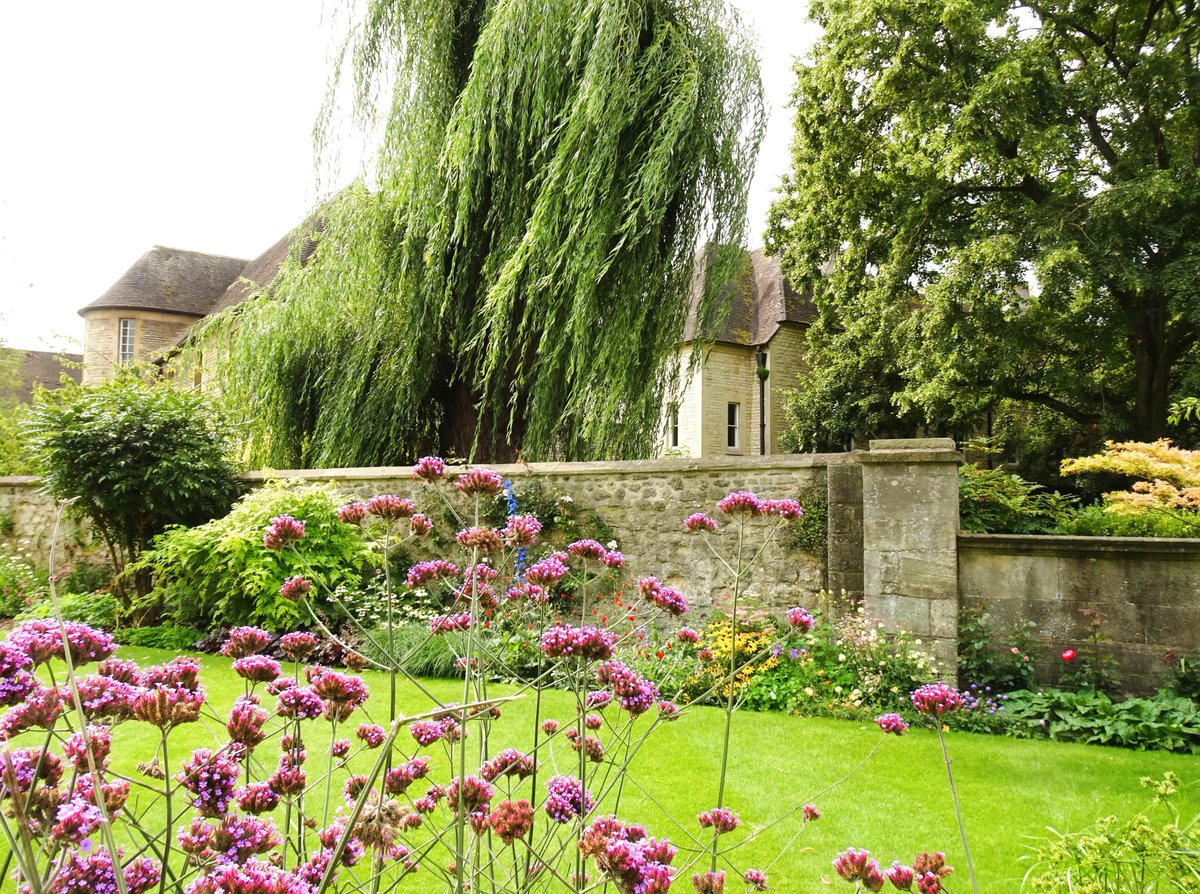 #ChristChurchMemorialGardens in #Oxford looking very beautiful on my walk! 💛🌿💚🌿💜 @ThePhotoHour @StormHour @StormHourMark @lebalzin @YourAwesomePix @YoushowmeP #PHOTOzine #Oxtweets #beautifulgardens #England