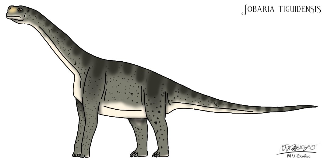 ognimdo2002's tweet photo. Meh 😑
The Niger boogeyman, Jobaria tiguidensis.
#tuareg, #jobar, #jobaria, #septiembre2023, #September2023, #art, #artph, #dinosaur, #ognimdo2002, #ibispaint. https://t.co/aDZqPaxp3z