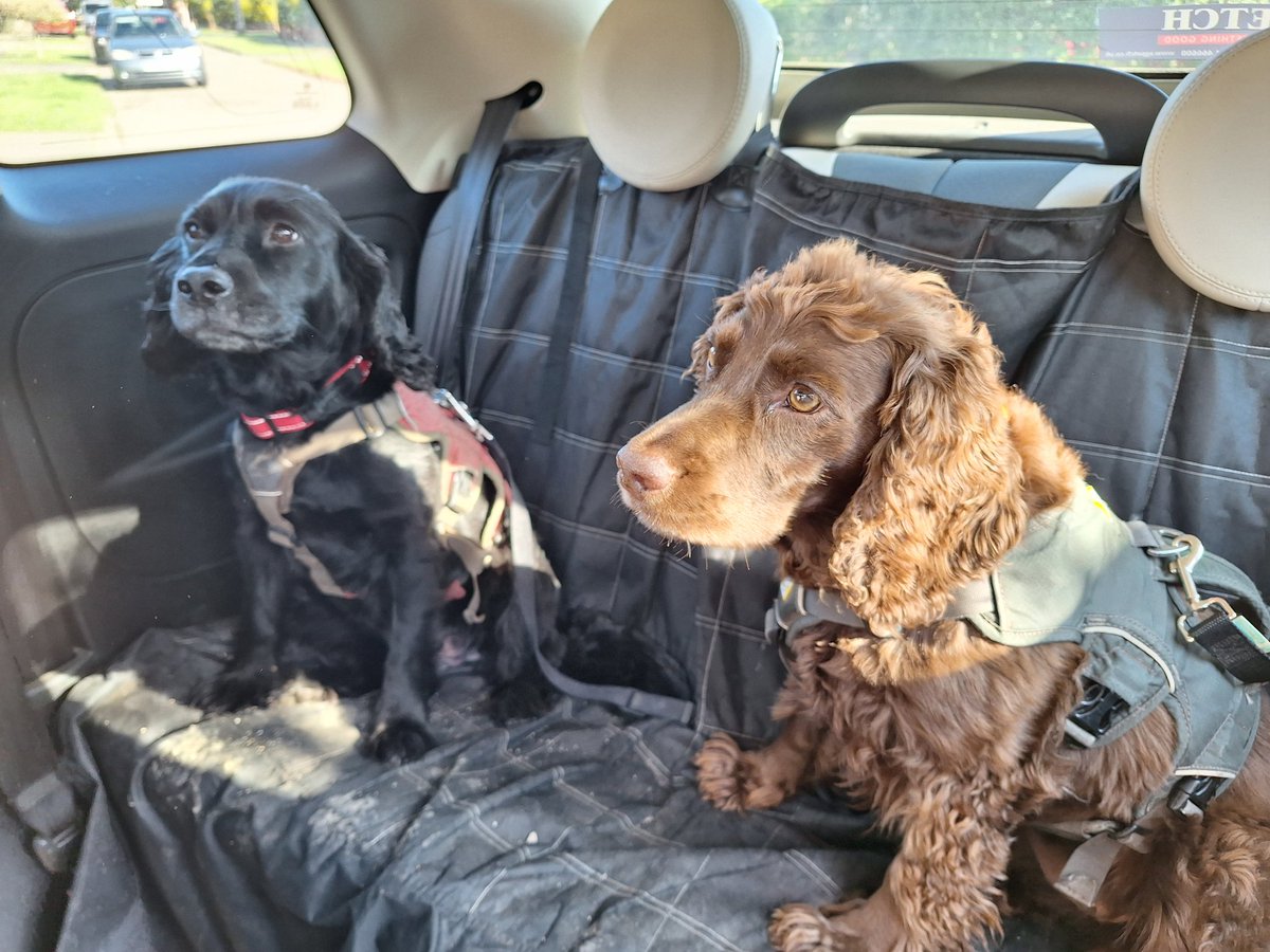 VMulvanaTuohy's tweet image. All ready and heading to the coast for our cultural event @YSTeachingNHS 👇