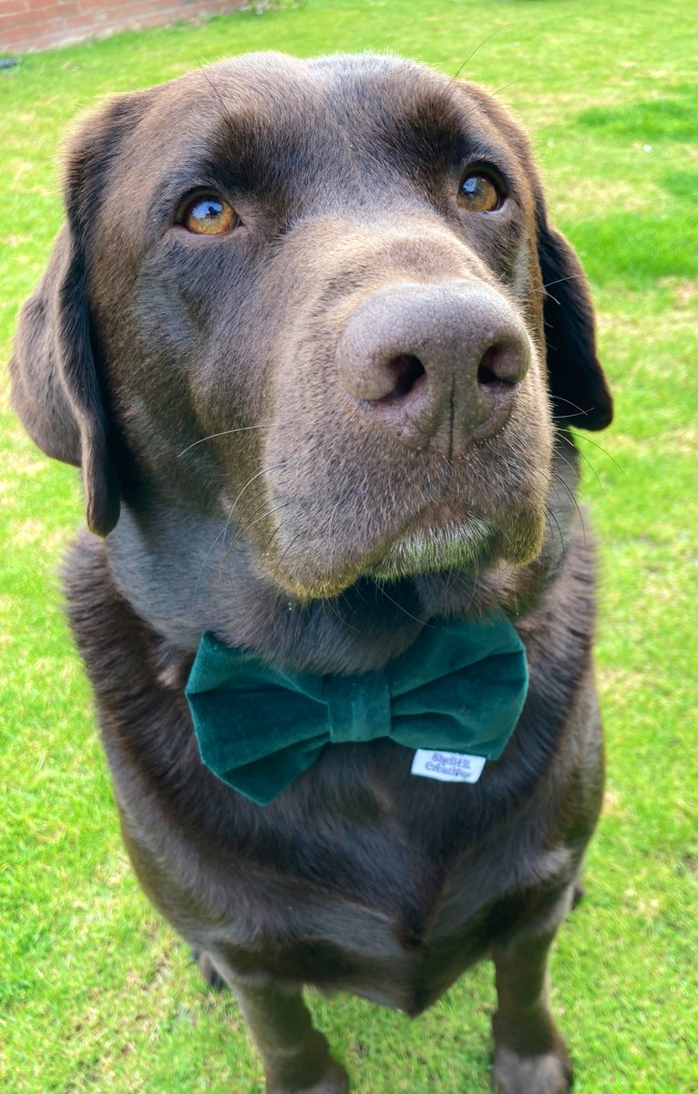 BecksandCB's tweet photo. Pappa is the breakfast kitchen, the menu today is build your own π³π₯π₯ππ§π
π«βοΈπ§π₯ Pals S A U S A G E S free for doggos whoβs coming over for Brekki #MrRsDiner πΎπΎ #PlaceYourOrders π https://t.co/9GLm7uo9X5