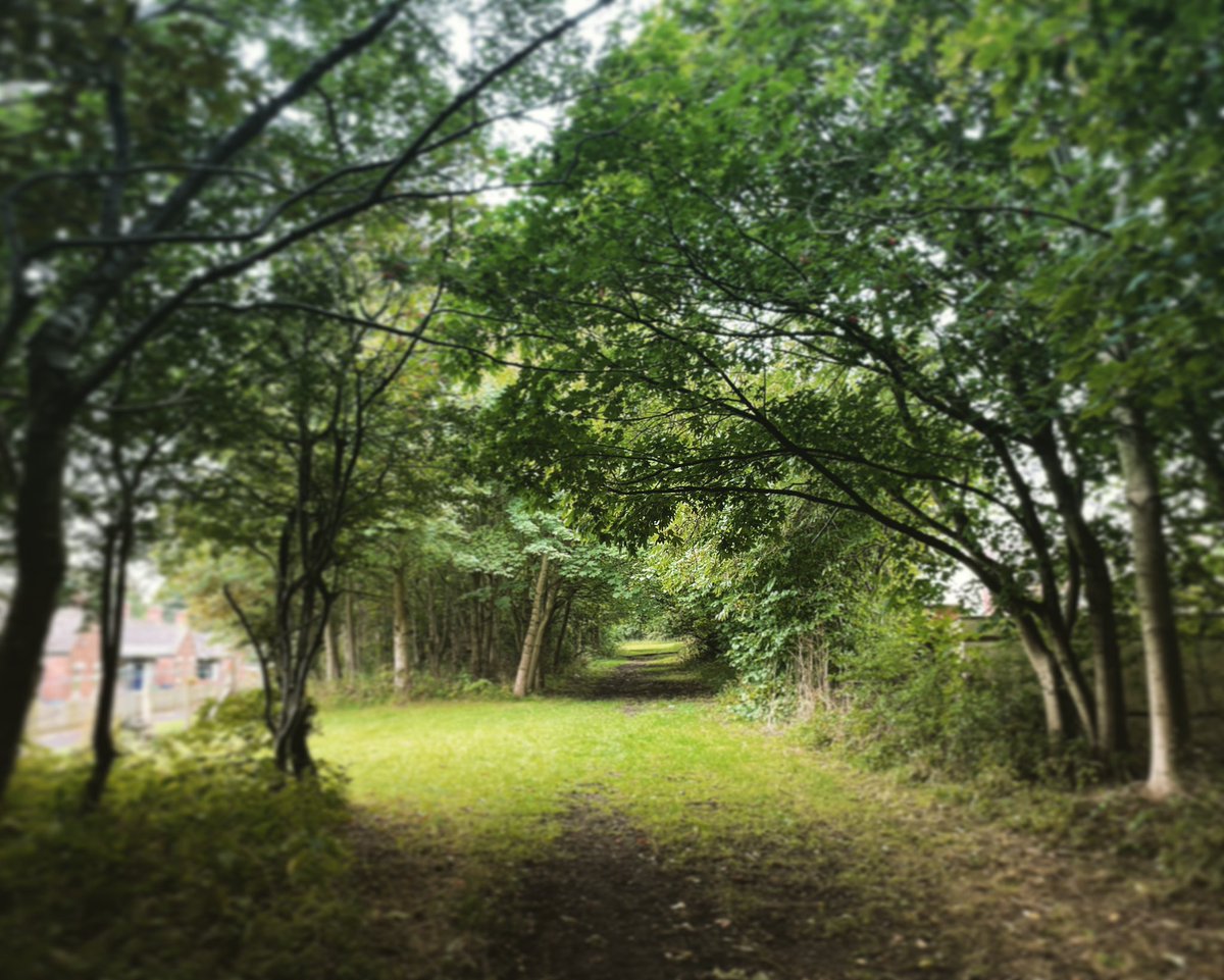 Nice morning run to start the weekend!👊🏻 #running #findingmymojo #motivation #wellbeing #trailrun #localtrails #keepgoing